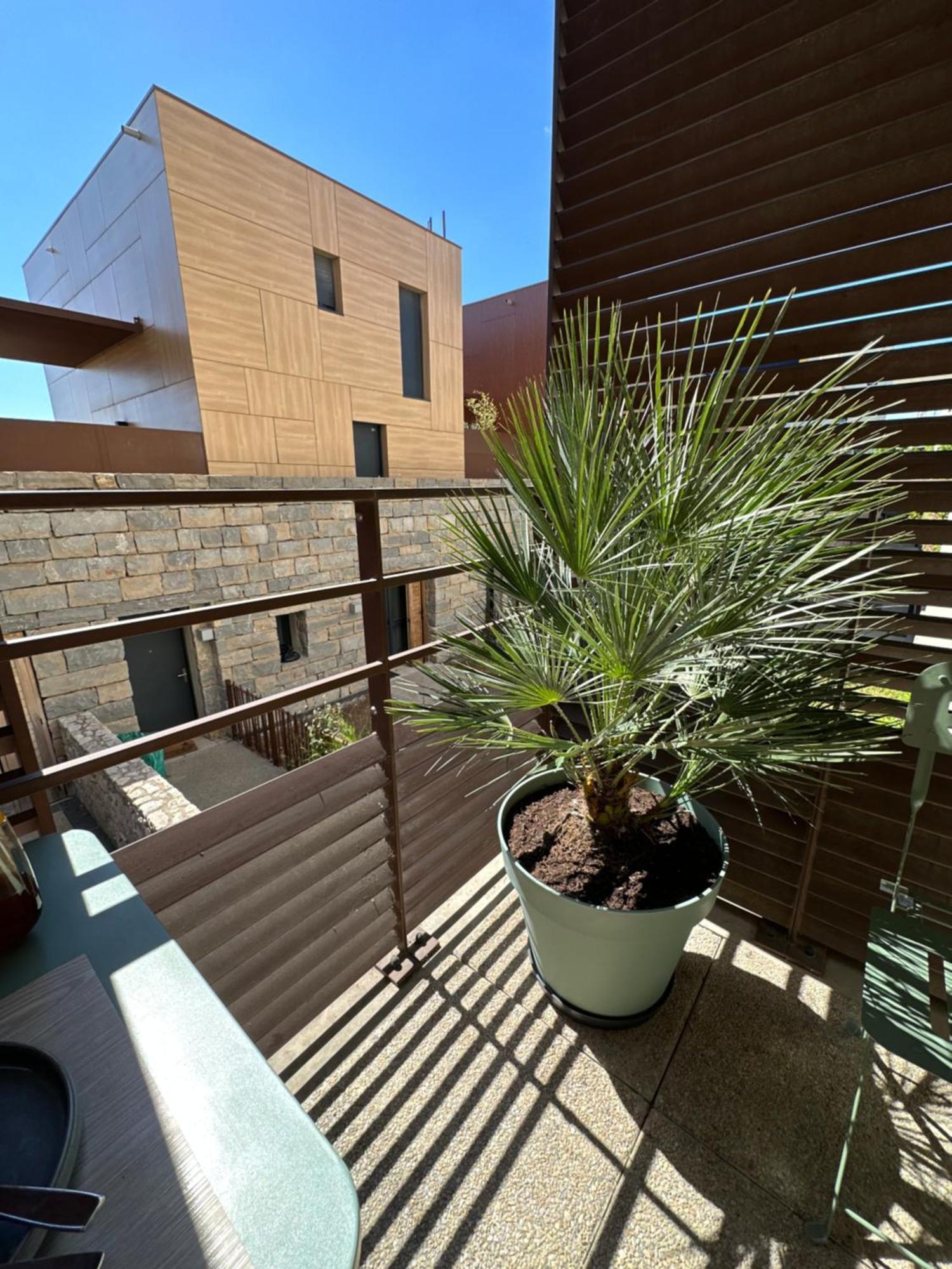 Appartement Charmant Au Porte De Montpellier แซ็ง-ฌ็อง-เดอ-เวดาส ภายนอก รูปภาพ